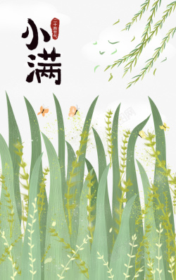 蝴蝶仙女小满手绘植物元素海报