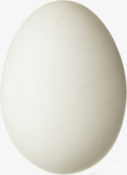 一个鸡蛋手绘白色鸡蛋高清图片