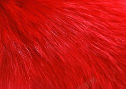 人造毛设计红色皮毛背景高清图片