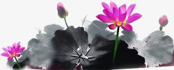 中秋节手绘黑墨荷叶花朵素材