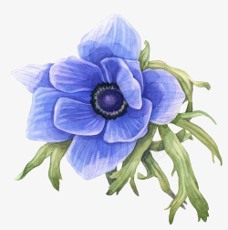 蓝色手绘鲜花素材