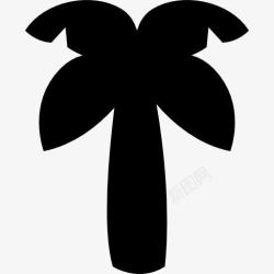心形叶树的轮廓黑棕榈树图标高清图片