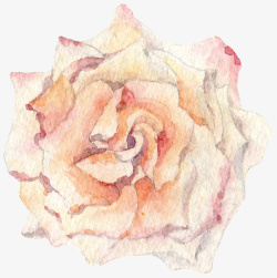 花手绘花插画玫瑰手绘玫瑰素材