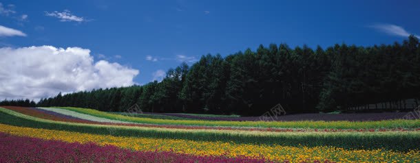 唯美风景拍摄背景图jpg设计背景_新图网 https://ixintu.com 拍摄 背景 风景