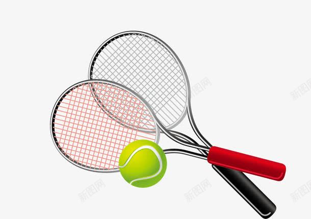 运动健身器材网球png免抠素材_新图网 https://ixintu.com 卡通 器材 矢量网球 网球 运动