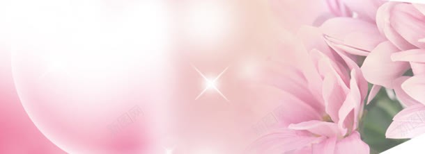粉色花朵淘宝海报背景jpg设计背景_新图网 https://ixintu.com 淘宝素材 简约 粉色 花朵