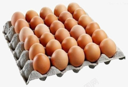 盒装鸡蛋鸡蛋产品高清图片