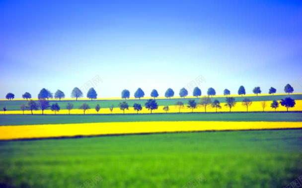 蓝天黄色麦田绿地海报背景背景