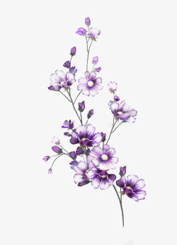 卡通手绘紫色的花卉素材