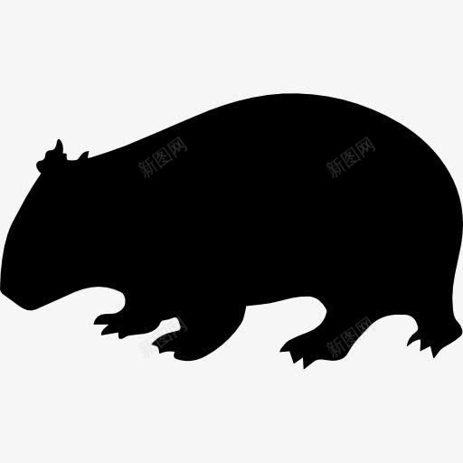 袋熊形状图标png_新图网 https://ixintu.com 动物 动物王国 哺乳动物 形状 袋熊 轮廓