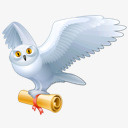 OWL动物鸟飞邮件猫头鹰harrypotter高清图片