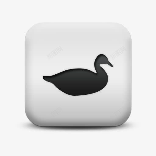 不光滑的白色的广场图标动物动物png_新图网 https://ixintu.com animal animals duck icon matte sc square white 不光滑的 动物 图标 广场 白色的 鸭