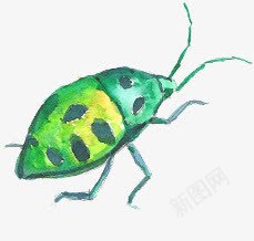 创意水彩手绘合成绿色的甲壳虫png免抠素材_新图网 https://ixintu.com 创意 合成 水彩 甲壳 绿色