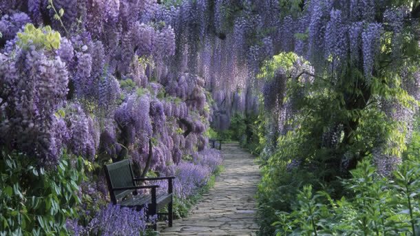 紫色浪漫自然风景jpg设计背景_新图网 https://ixintu.com 浪漫 紫色 自然 风景
