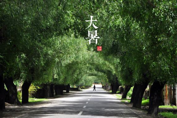 大暑节气宽屏背景背景