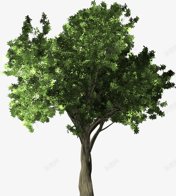 一棵绿色的大树psd免抠素材_新图网 https://ixintu.com 叶子 大树 春天 绿色