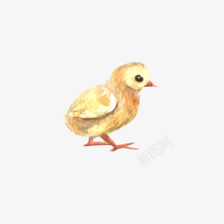 水彩手绘动物小雏鸡矢量图素材