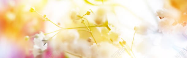 黄色花朵温暖背景bannerjpg设计背景_新图网 https://ixintu.com banner 温暖 背景 花朵 黄色