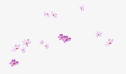 紫色粉色小花装饰素材