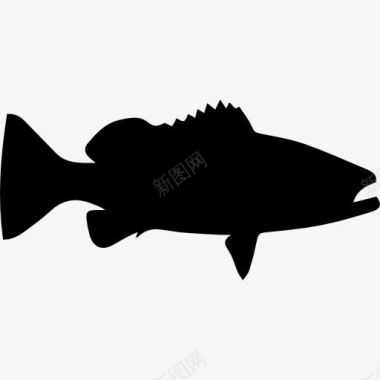 华沙石斑鱼的形状图标图标