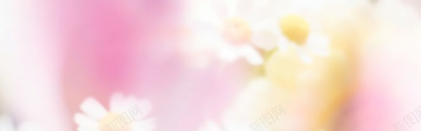 粉色浪漫背景bannerjpg设计背景_新图网 https://ixintu.com banner 浪漫 粉色 背景