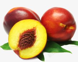 桃核水果油桃高清图片