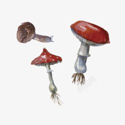 手绘三朵小蘑菇矢量图素材