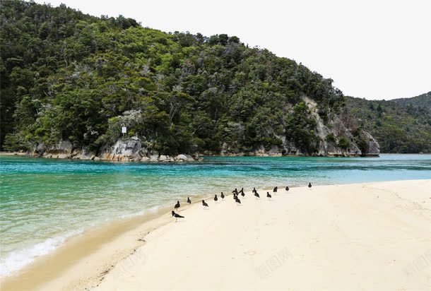 新西兰风景png设计背景_新图网 https://ixintu.com 新西兰 旅游 美丽 风景