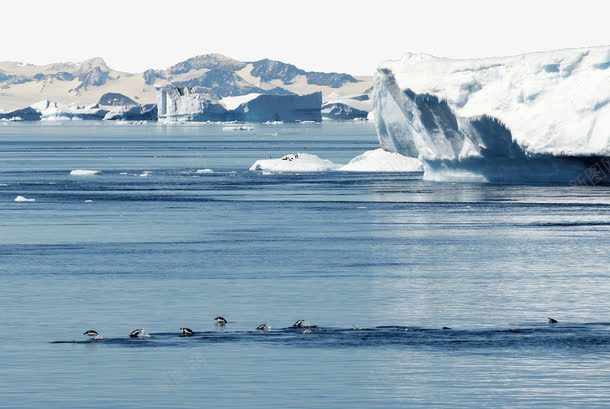 著名南极冰川png免抠素材_新图网 https://ixintu.com 南极 南极雪景 旅游景区 著名南极冰川 著名景点