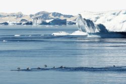 达古冰川景点著名南极冰川高清图片