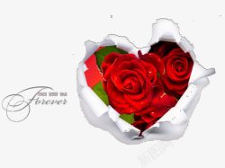 玫瑰花卡通图214情人节浪漫玫瑰花高清图片