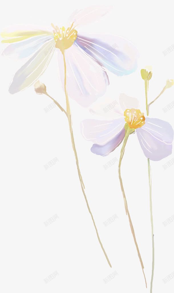 水墨花朵png免抠素材_新图网 https://ixintu.com 卡通 手绘 桔梗 水墨 白色 紫色 花朵 装饰 黄色