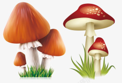手绘蘑菇香菇素材