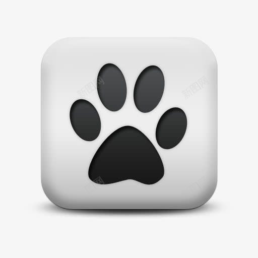 不光滑的白色的广场图标动物动物png_新图网 https://ixintu.com animal animals cat icon matte print square white 不光滑的 动物 图标 广场 打印 猫 白色的