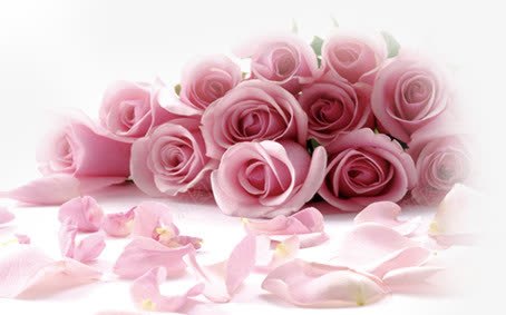 粉色玫瑰花束花瓣png免抠素材_新图网 https://ixintu.com 玫瑰 粉色 花束 花瓣