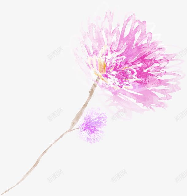 紫色水彩花朵手绘png免抠素材_新图网 https://ixintu.com 水彩 紫色 花朵