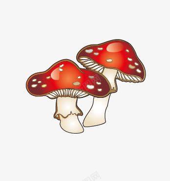 卡通采蘑菇png免抠素材_新图网 https://ixintu.com 卡通蘑菇 彩色 蘑菇