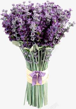 一束紫色的花卉素材