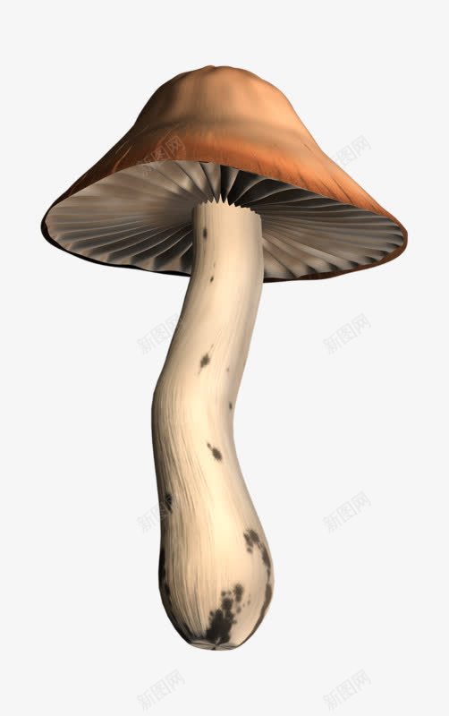 手绘咖色大蘑菇png免抠素材_新图网 https://ixintu.com 咖色 大蘑菇 手绘蘑菇