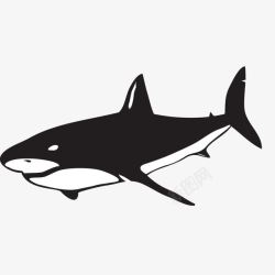 黑色鲨鱼手绘卡通鲨鱼图标高清图片