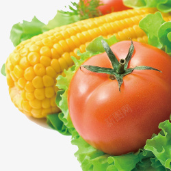 西红柿玉米果蔬生机素材