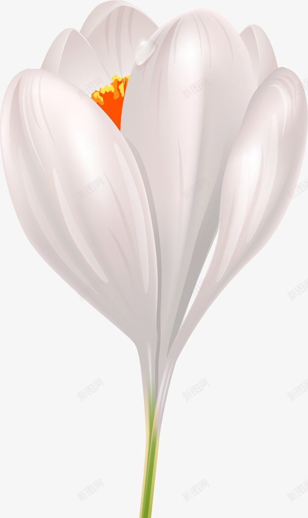 手绘白色花朵花瓣png免抠素材_新图网 https://ixintu.com 唯美 小清新 手绘花朵 白色花朵 白色花瓣 质感