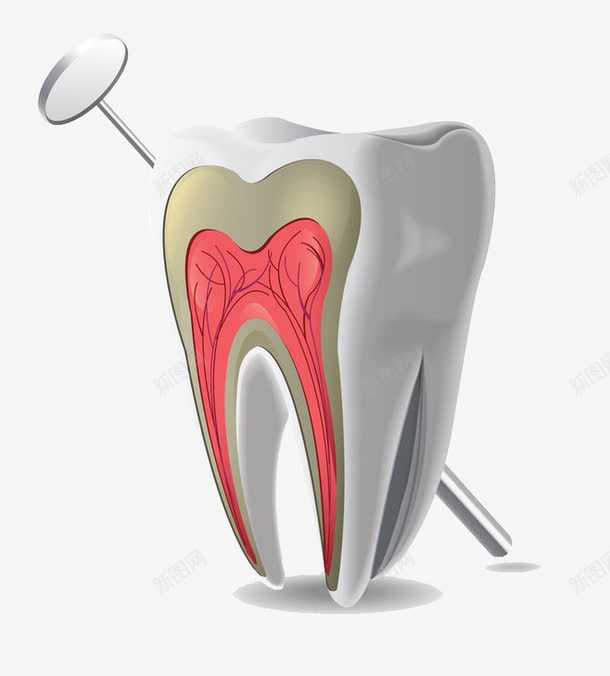 牙齿png免抠素材_新图网 https://ixintu.com 牙医 牙膏 牙齿问题 美白牙齿