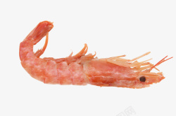 阿根廷大红虾阿根廷进口开背虾高清图片