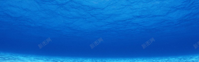 深海质感背景jpg设计背景_新图网 https://ixintu.com 摄影 海报banner 深海背景 深海质感背景 设计素材 质感背景 风景