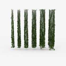 柱子鲜草绿色垂吊植物素材