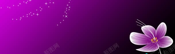 花朵梦幻星星粉紫色jpg设计背景_新图网 https://ixintu.com 星星 梦幻 紫色 花朵