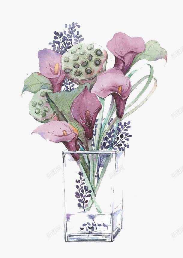 水彩鲜花png免抠素材_新图网 https://ixintu.com 卡通 手绘 水彩 紫色 绿色 藕 装饰 鲜花