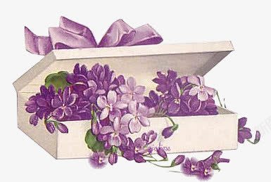 紫色小花紫色彩带白盒png免抠素材_新图网 https://ixintu.com 彩带 紫色