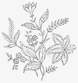 素描的植物素材